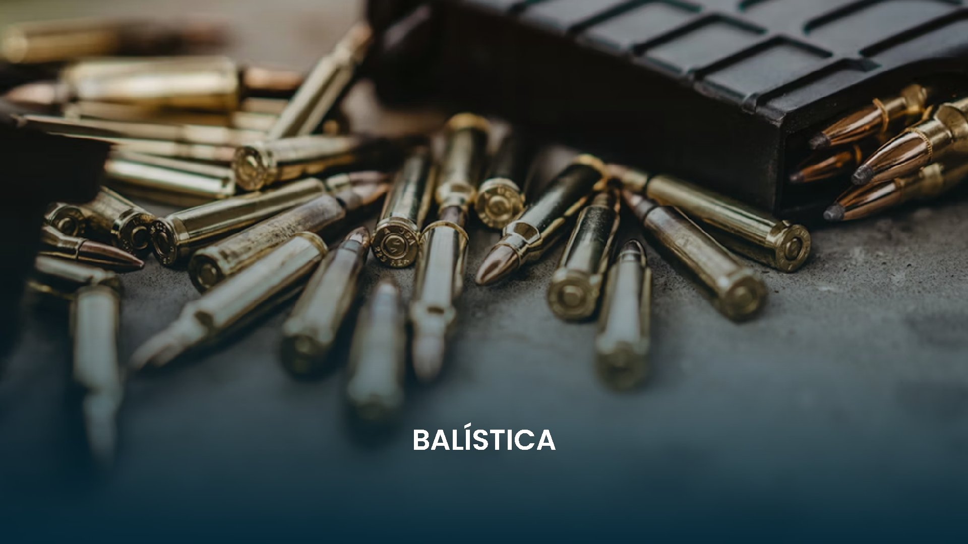 Especialización 2