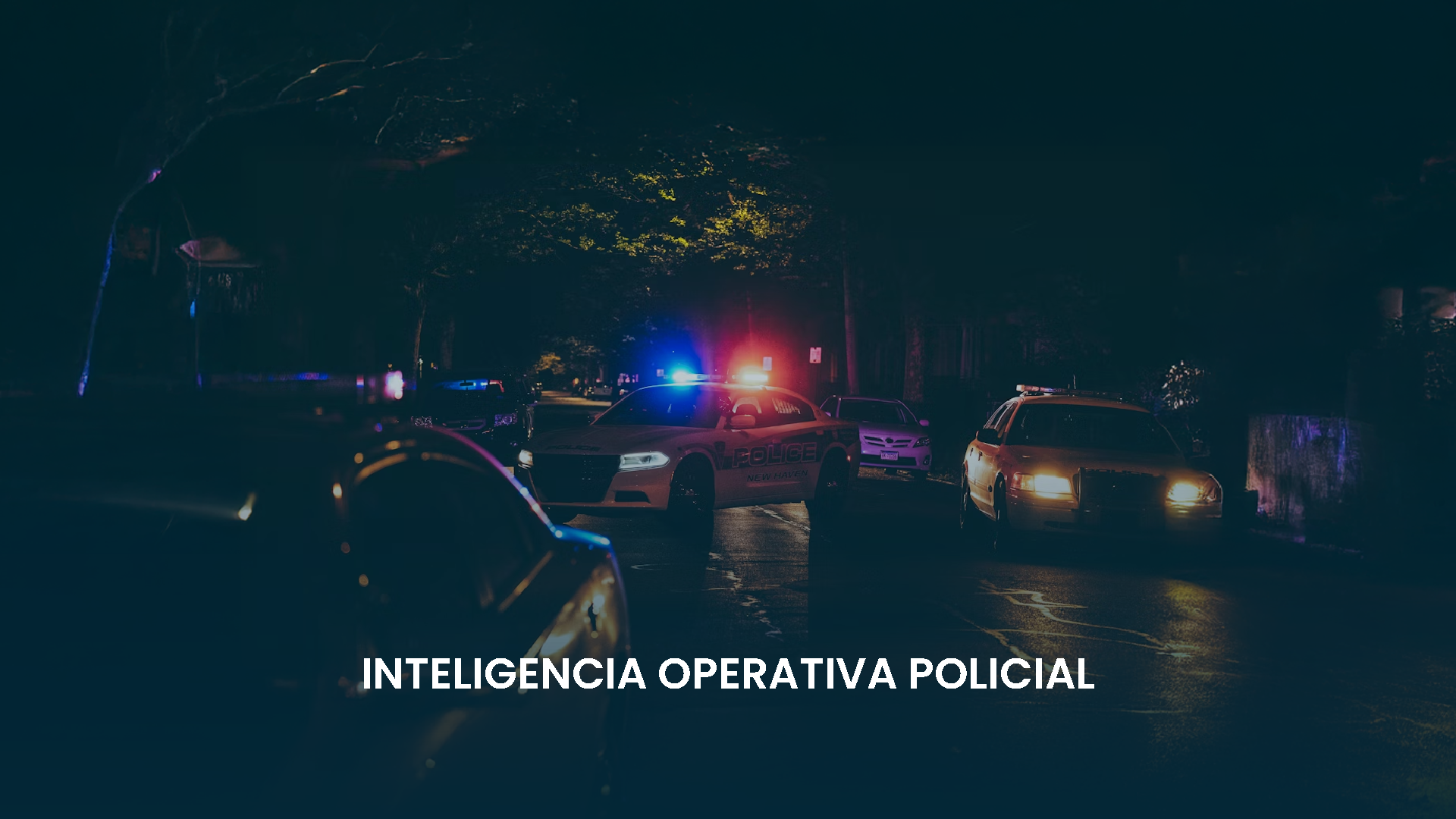 Especialización 4