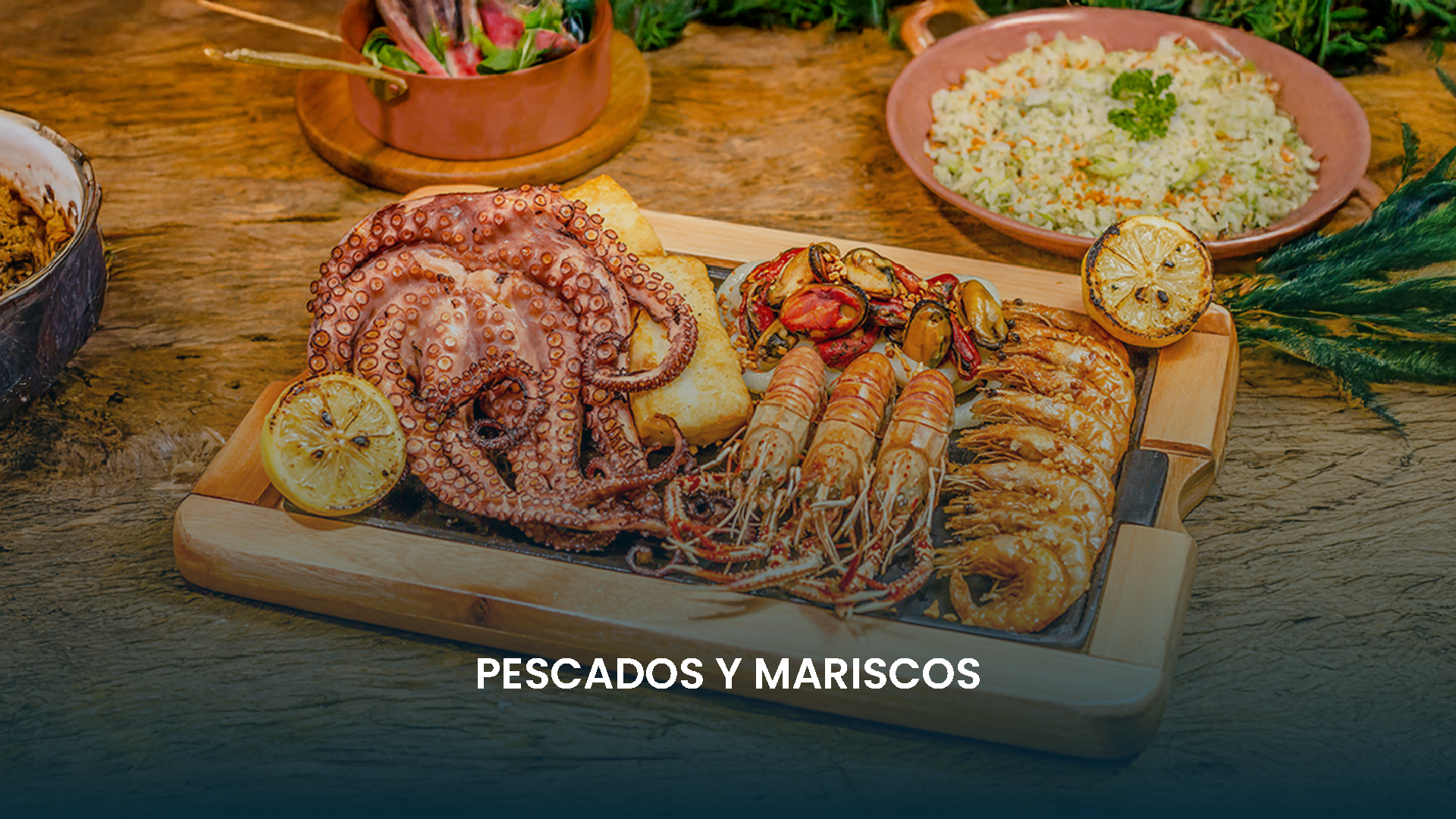 Especialización 1