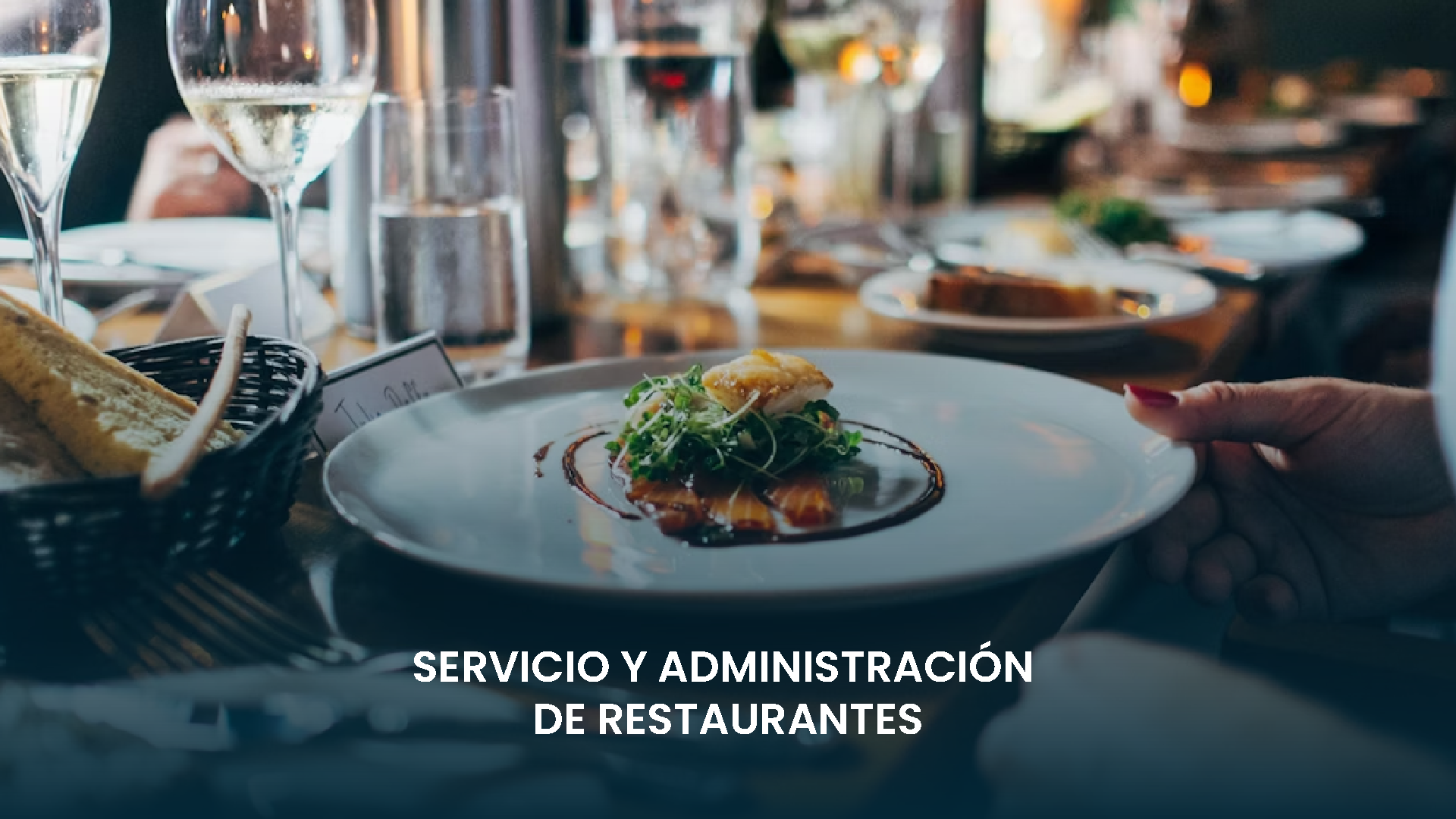 Especialización 2